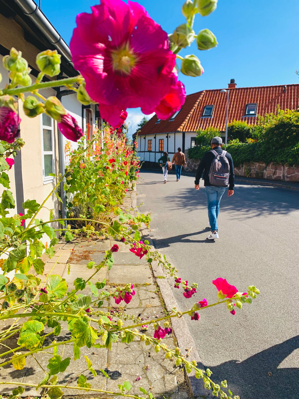 Photo of The Prettiest Island in Denmark π by compass_cupcakes