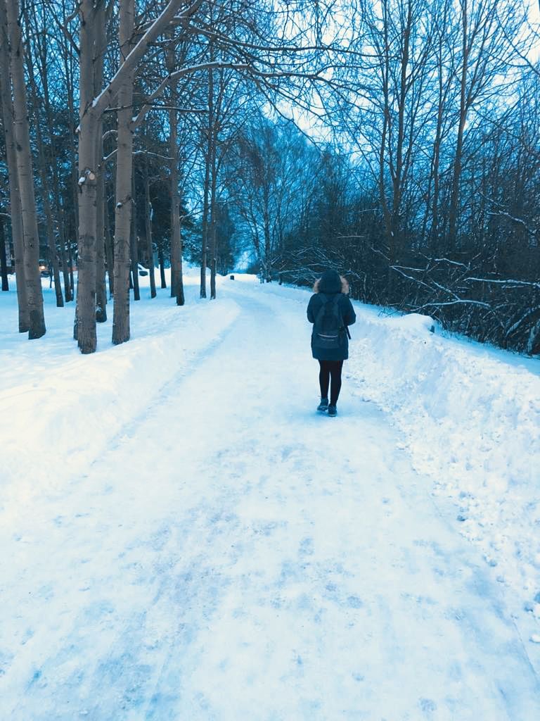 Photo of Wandering in White Wilderness - A Day at Ounasvaara by compass_cupcakes