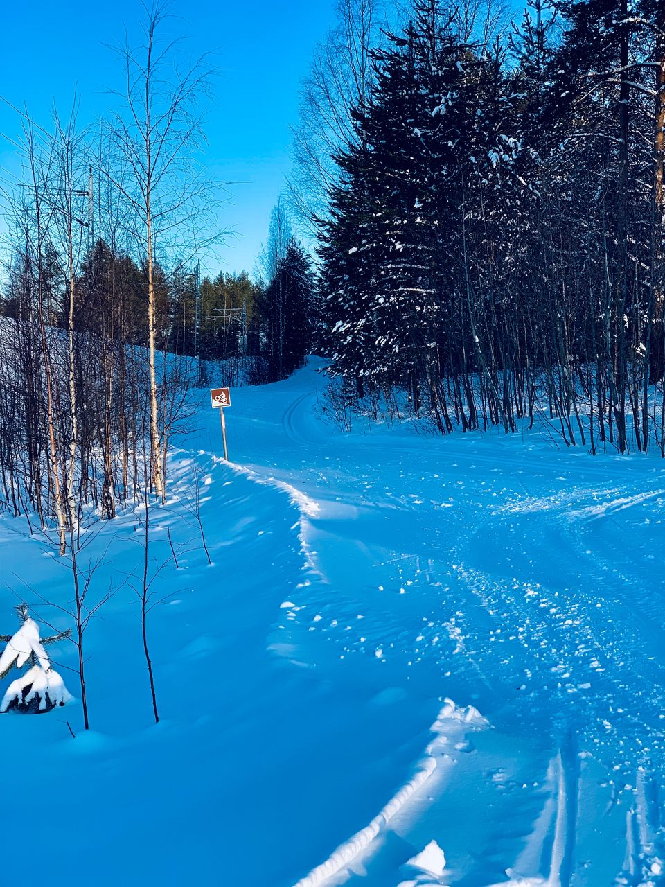 Photo of Wandering in White Wilderness - A Day at Ounasvaara by compass_cupcakes