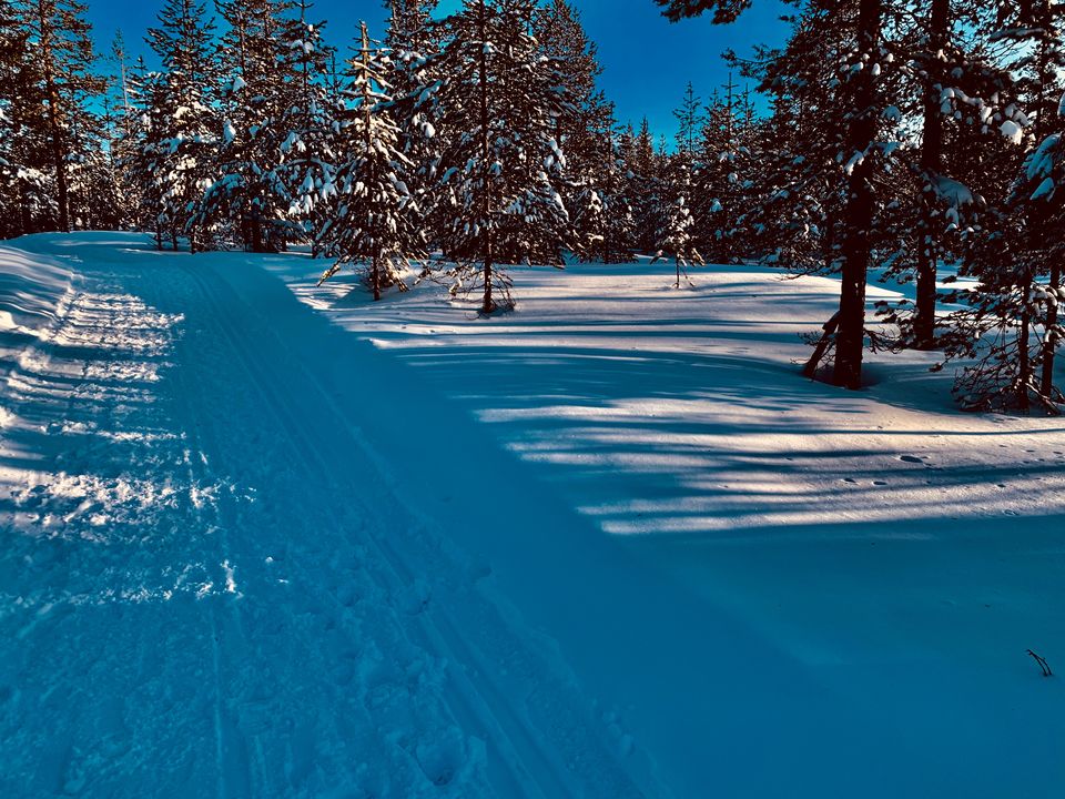 Photo of Wandering in White Wilderness - A Day at Ounasvaara by compass_cupcakes