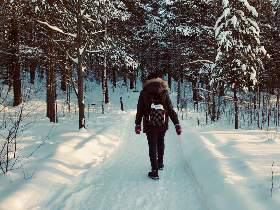 Photo of Wandering in White Wilderness - A Day at Ounasvaara by compass_cupcakes