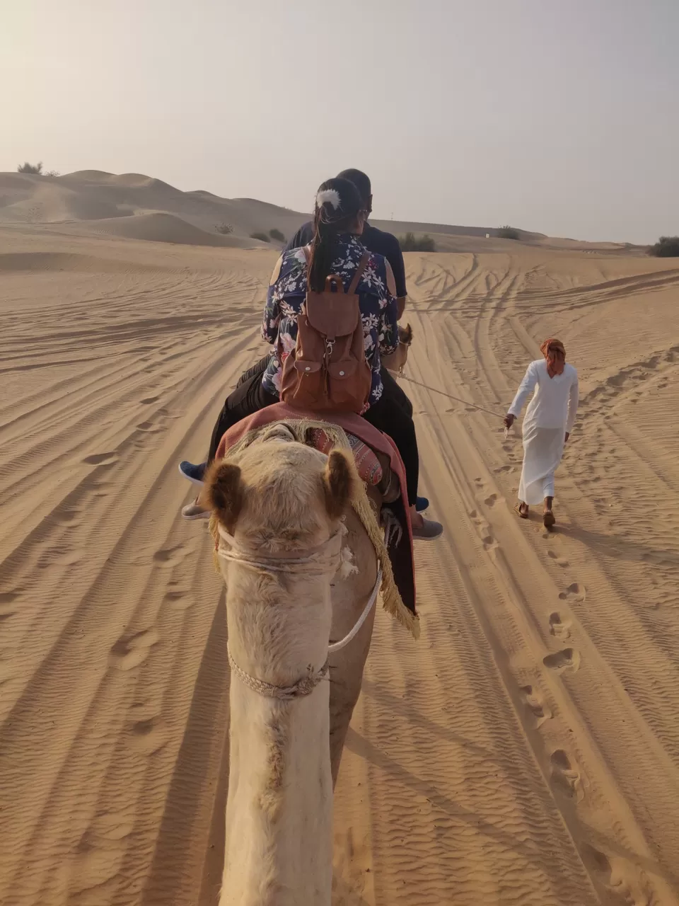Photo of Evening Desert Safari - Dubai - United Arab Emirates by Vishav Suri