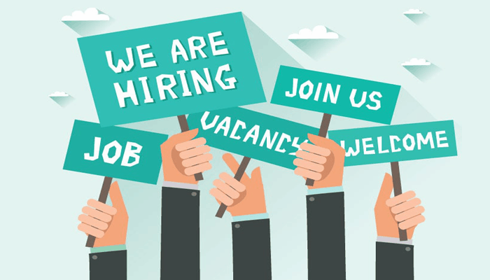 Photo of Hunt for the Best Job According To Your Expectation by Online Portal? 1/2 by Root Jobs