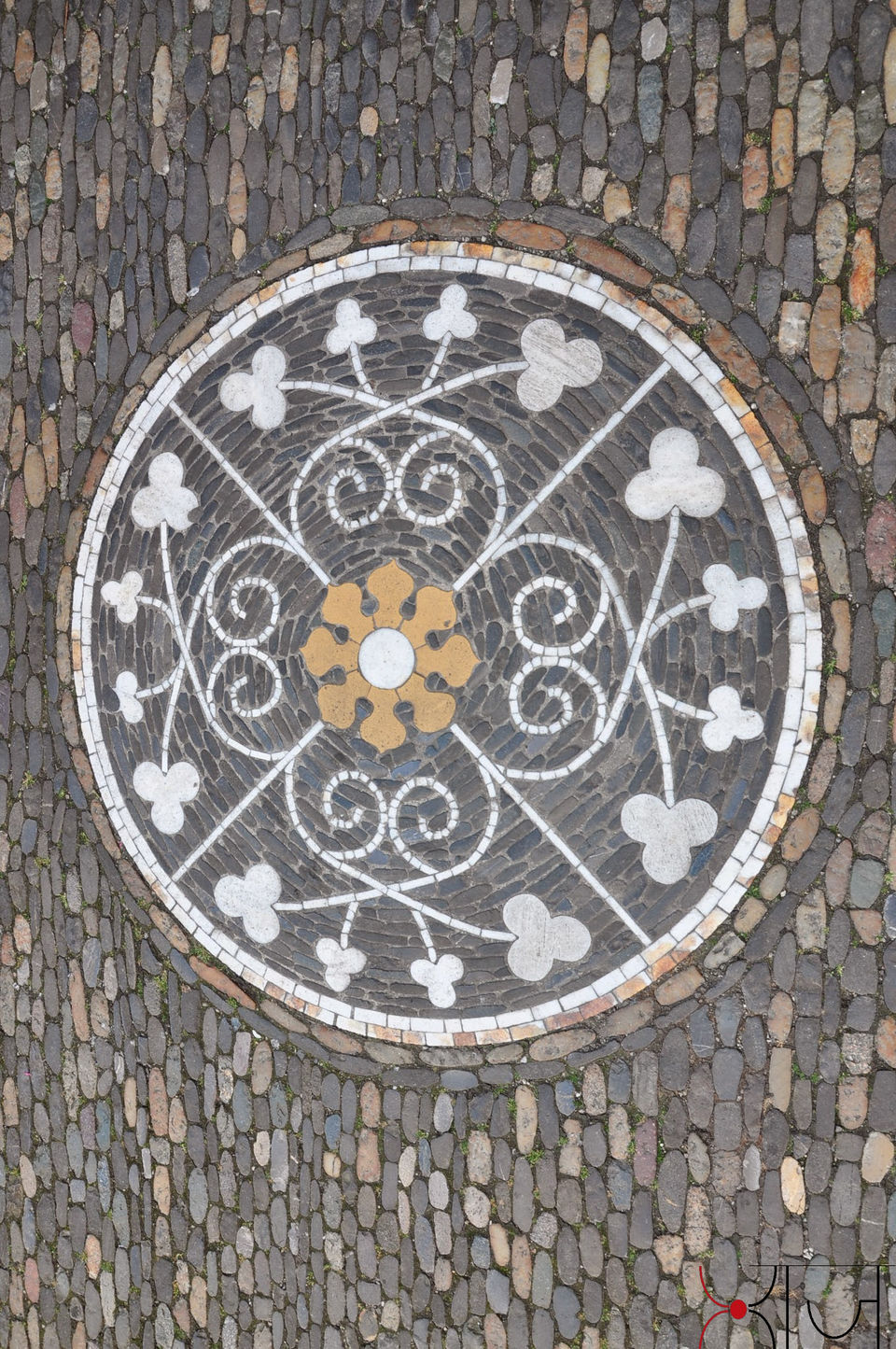 Photo of Freiburg im Breisgau: Music for eyes! 6/33 by Megh Dhanush