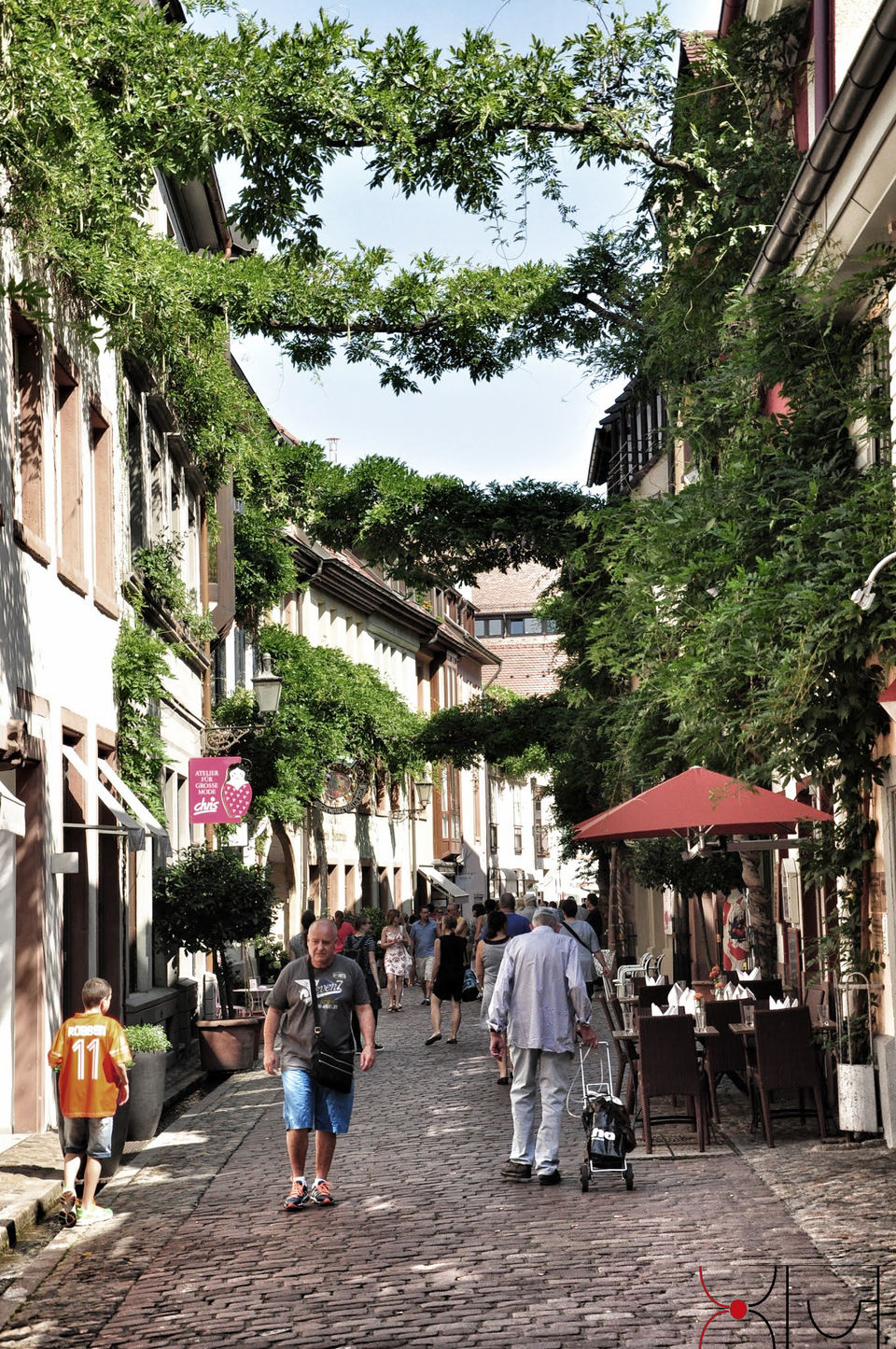 Photo of Freiburg im Breisgau: Music for eyes! 11/33 by Megh Dhanush