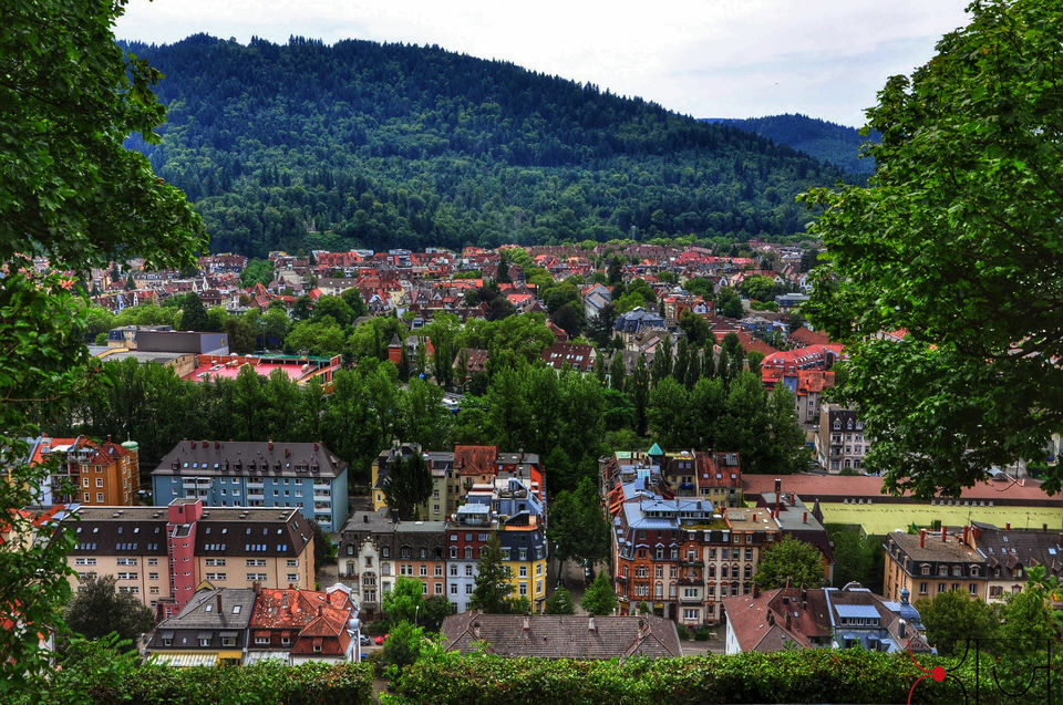 Photo of Freiburg im Breisgau: Music for eyes! 19/33 by Megh Dhanush