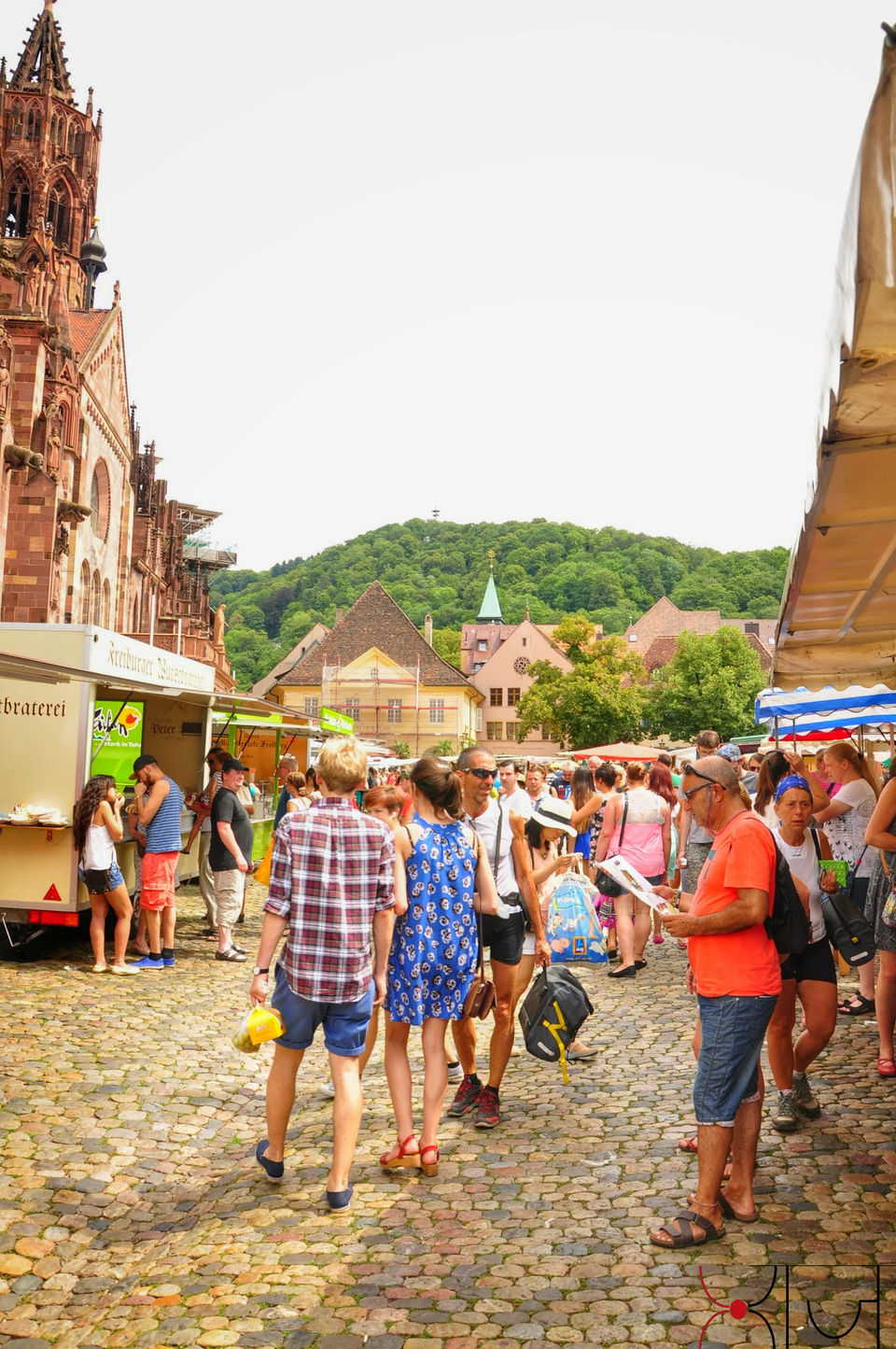 Photo of Freiburg im Breisgau: Music for eyes! 30/33 by Megh Dhanush