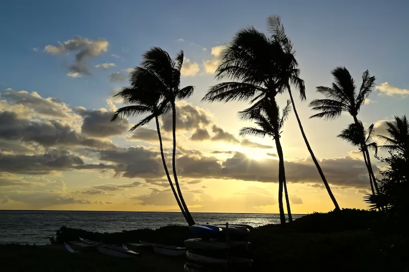 Photo of Maui, Kula, HI, United States by Joanna Kalafatis