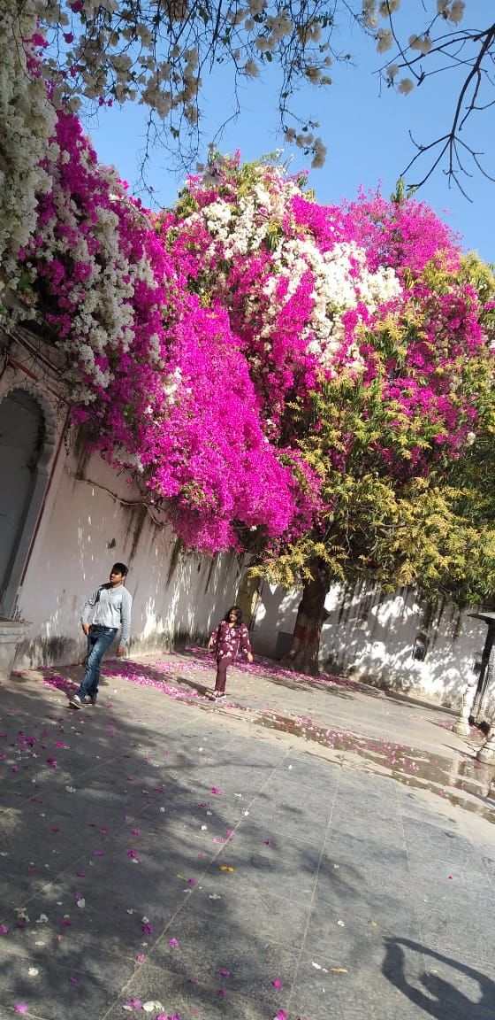 Photo of City of lake ... udaipur... shaandar udaipur... by RAVI KUMAR's