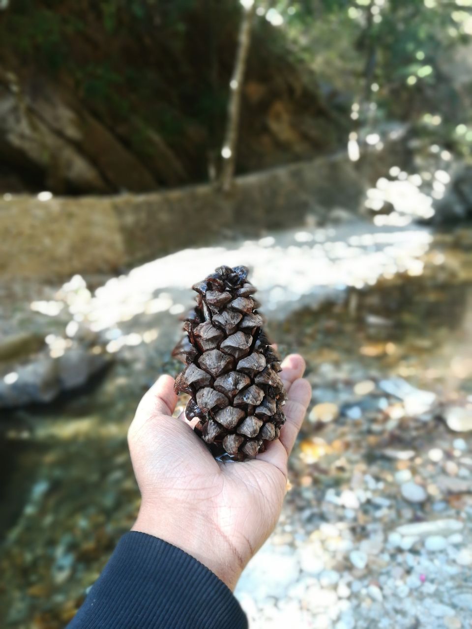 Photo of Mukteshwar, Uttarakhand, India by Dishu Khanna