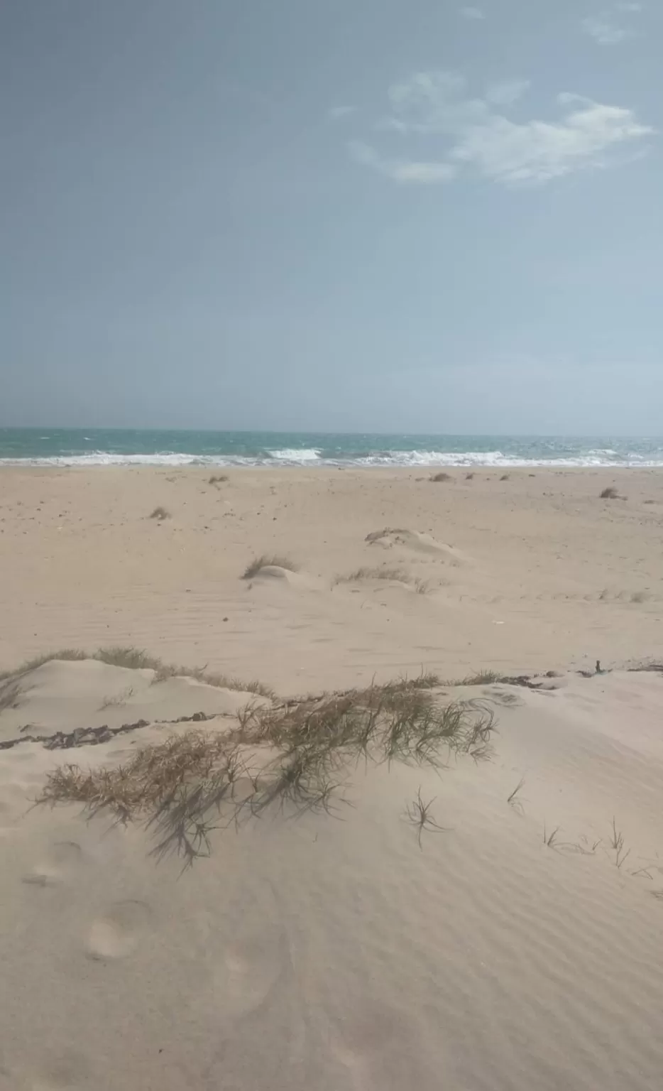 Photo of Dhanushkodi Beach By Tocy Thomas