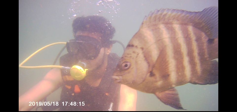 Photo of Amazing Trip by siddharth desai