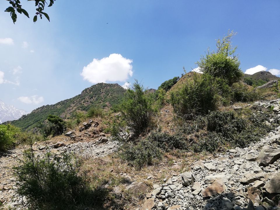 Photo of Himani Chamunda, Chandar Bhan, Himachal Pradesh, India by rohit rana