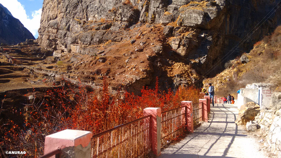 Photo of Gurgaon to Badrinath on Bike by Anurag Dixit