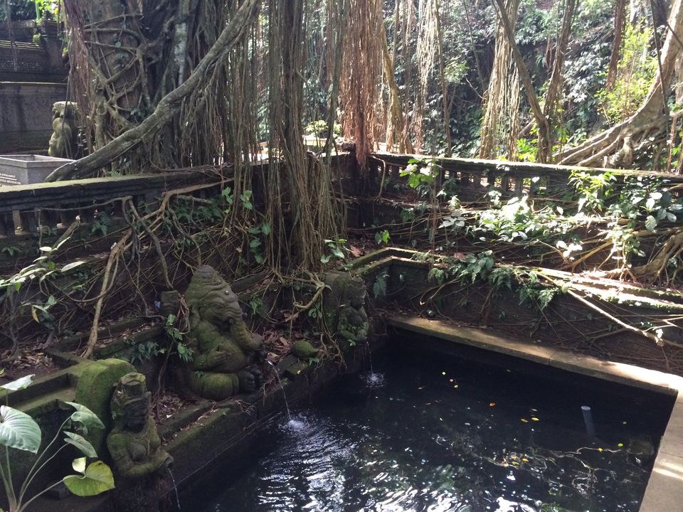 Photo of Sacred Monkey Forest Sanctuary, Jalan Wenara Wana, Ubud, Bali, Indonesia by Chasing Sunsets