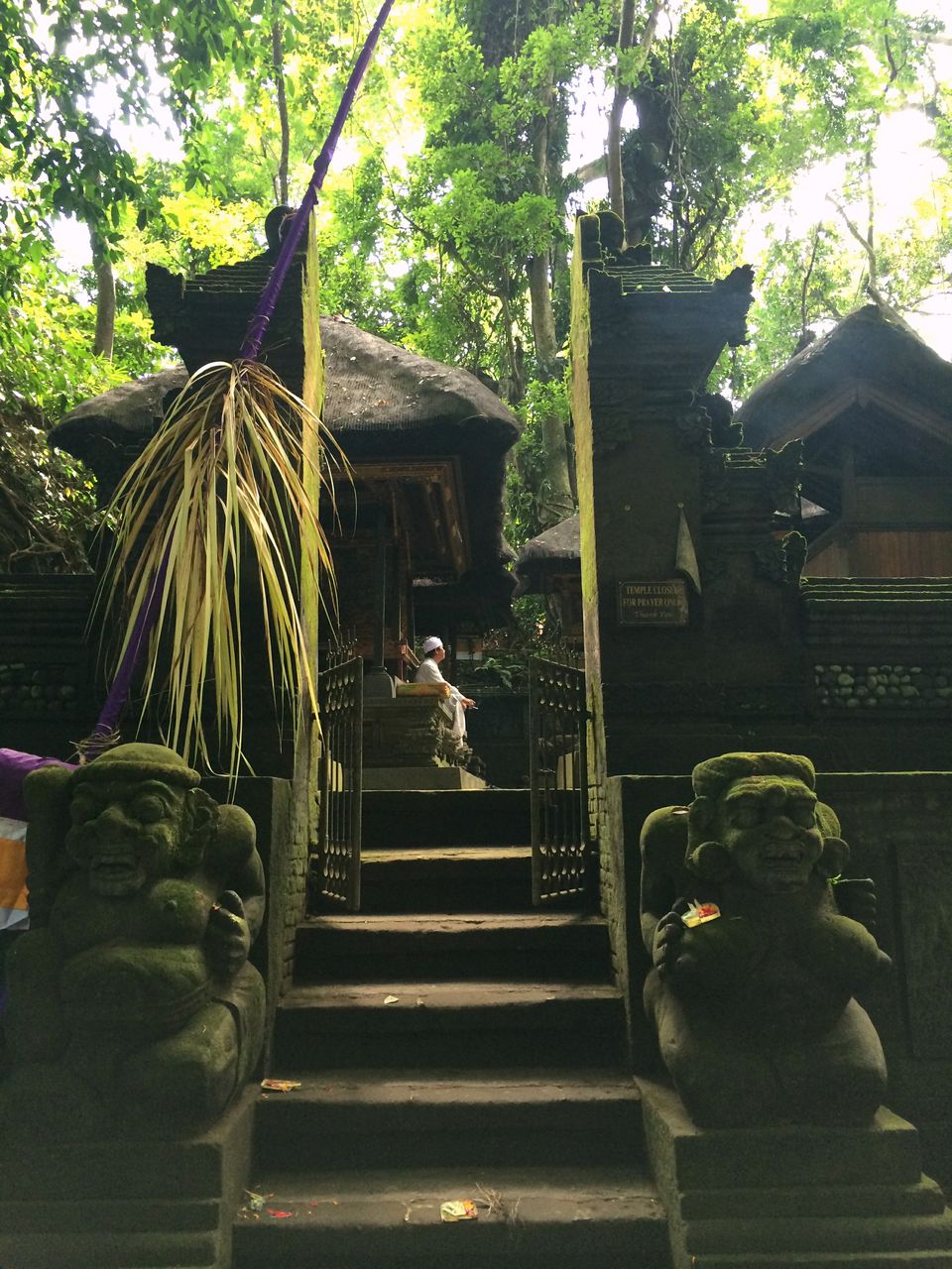 Photo of Sacred Monkey Forest Sanctuary, Jalan Wenara Wana, Ubud, Bali, Indonesia by Chasing Sunsets