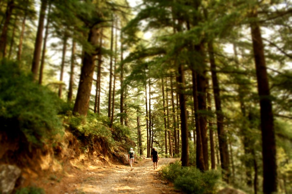 Photo of Dharamshala : Land of The Dalai Lama 13/20 by Chasing Sunsets
