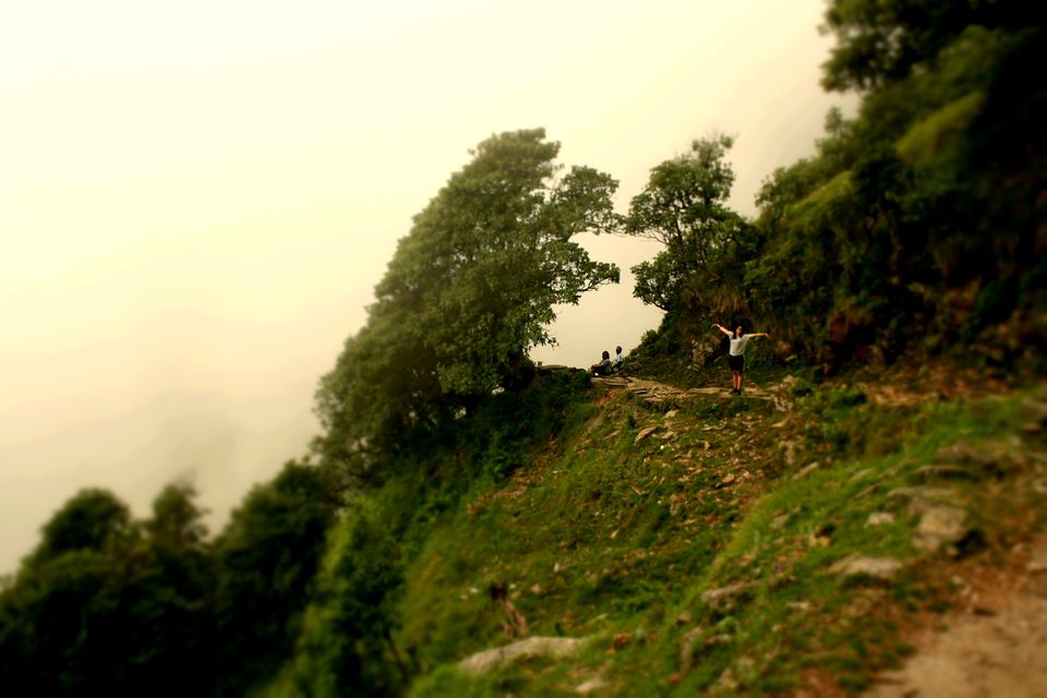 Photo of Dharamshala : Land of The Dalai Lama 14/20 by Chasing Sunsets