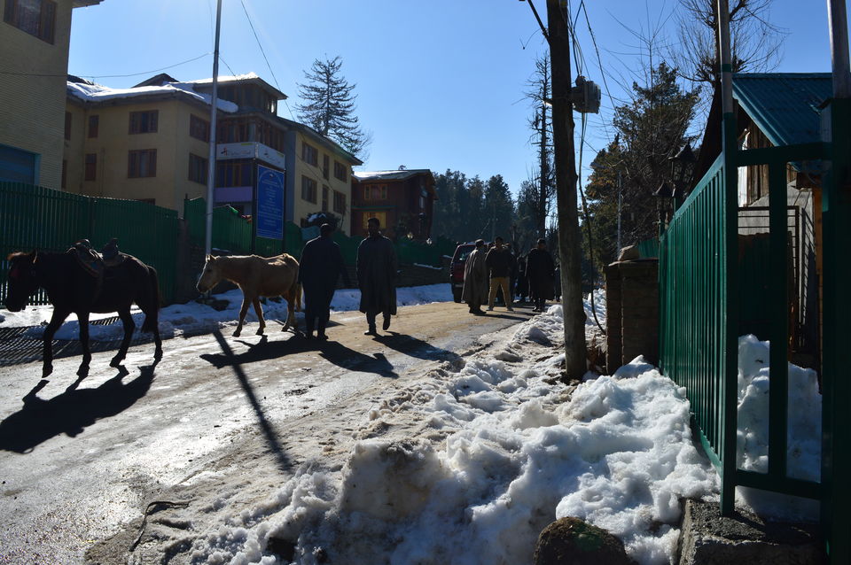 Photo of Pahalgam by Animesh Jain