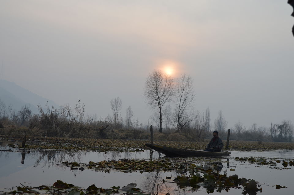 Photo of Enchanting Kashmir in Winters! #KashmirDiaries by Animesh Jain
