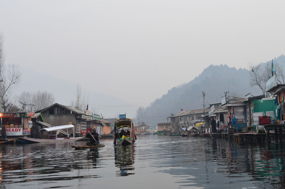 Photo of Enchanting Kashmir in Winters! #KashmirDiaries by Animesh Jain