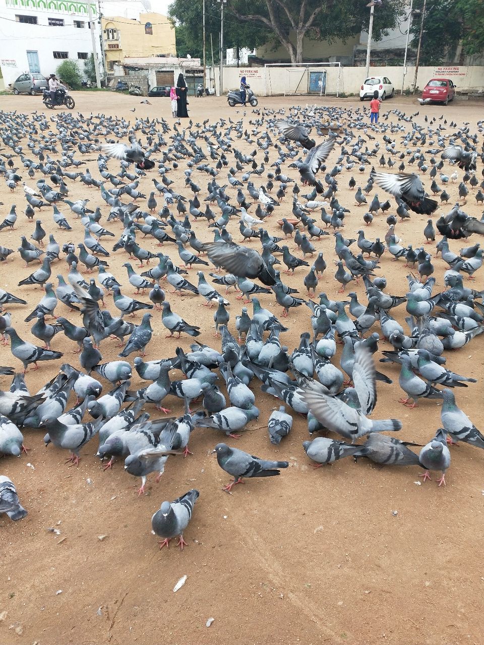 Photo of City of Nizams by Sivani Parayil