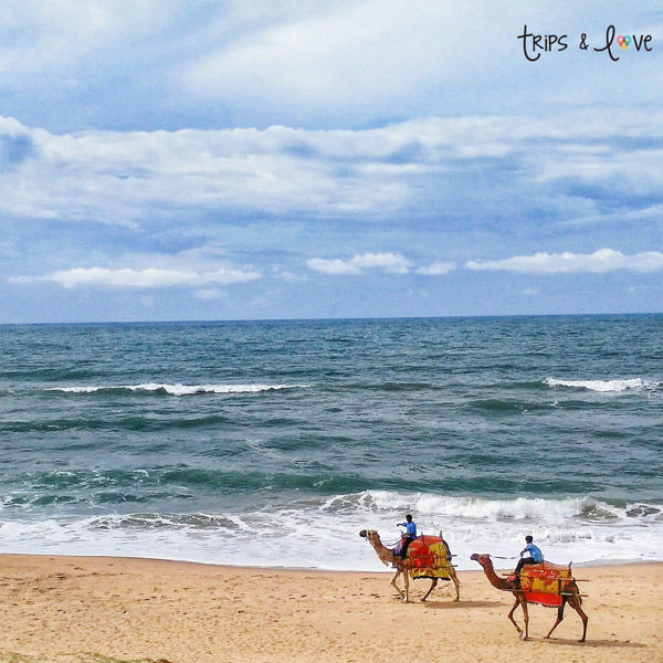 Photo of Top Beach Destinations in Odisha Tour Which Are Way Too Gorgeous 3/3 by Best Choice Holiday