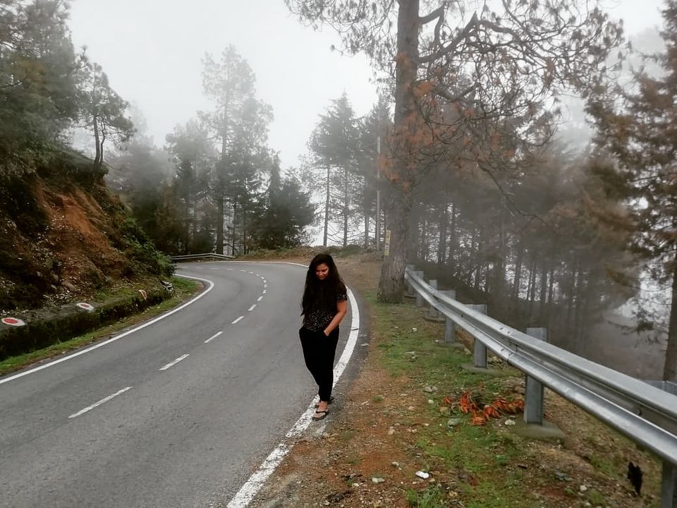 Photo of Kanatal - A Heaven Unexplored by Shivani Thakur