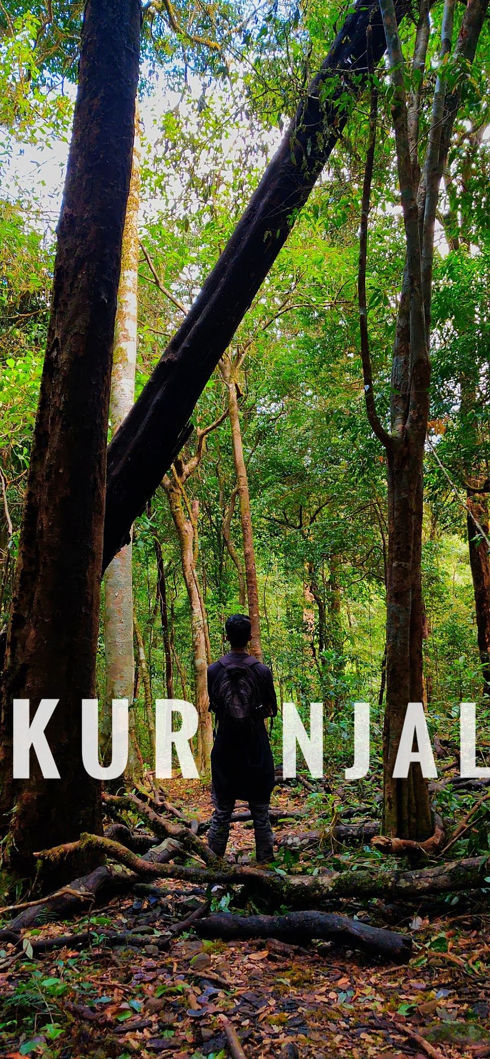 Photo of Kurinjal Peak, Kudremukh Range, Nooralaettu, Karnataka, India by Adithya R Upadhya