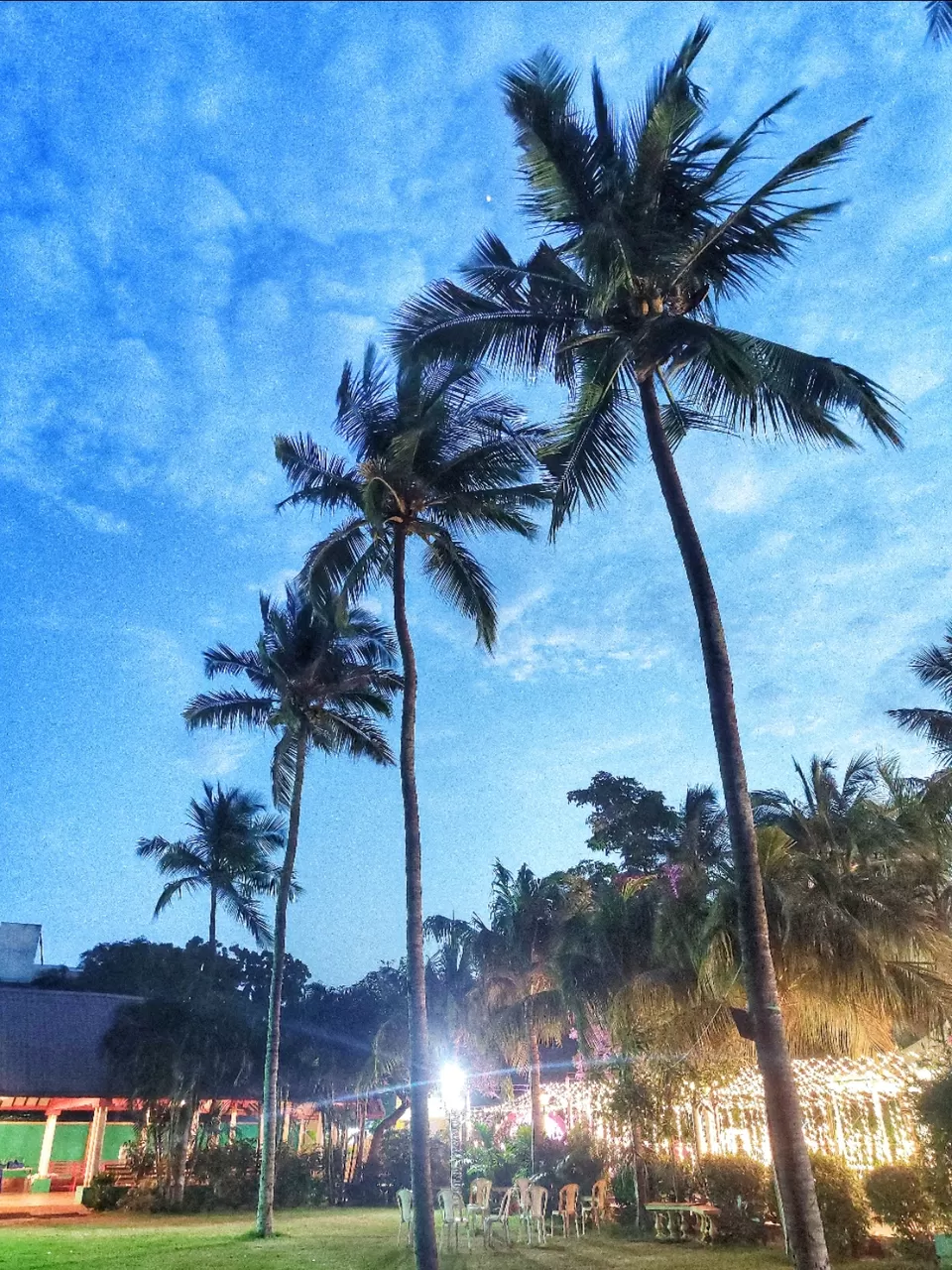 Photo of Green Meadows Resort, Anna Salai Road, Palavakkam Kuppam, Palavakkam, Chennai, Tamil Nadu, India by Navin Naik