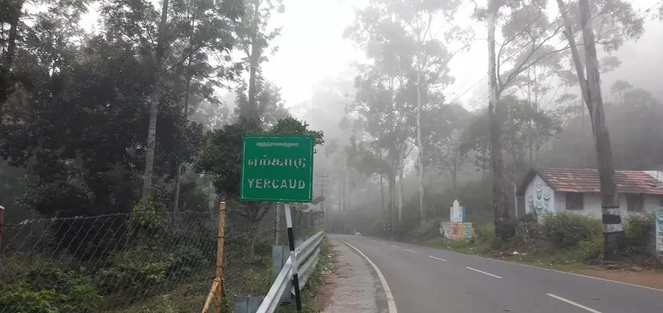 Photo of Yercaud, Tamil Nadu, India by Kamalakar Venigalla