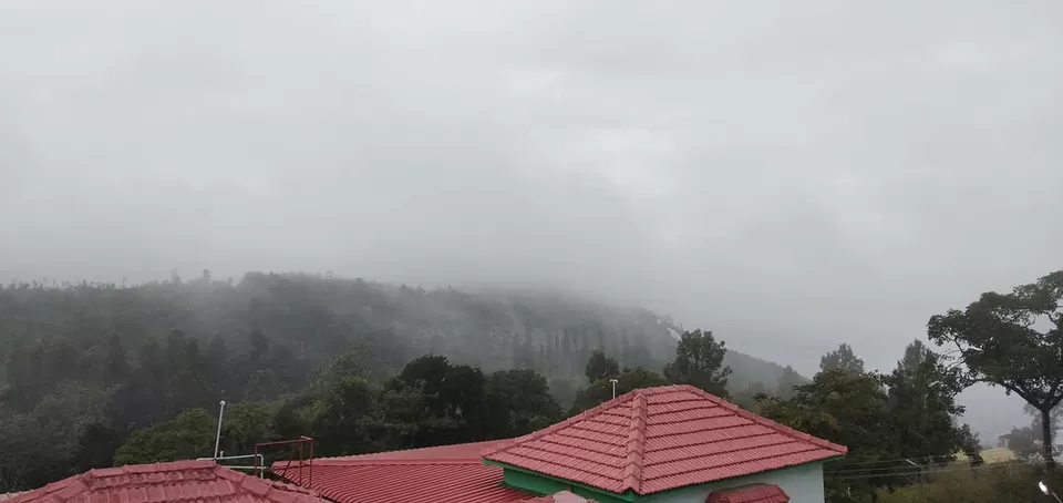 Photo of Yercaud - A hill station that you would overlook by Kamalakar Venigalla