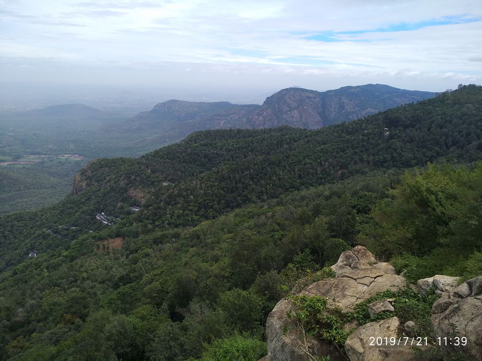 Photo of Yercaud - A hill station that you would overlook by Kamalakar Venigalla