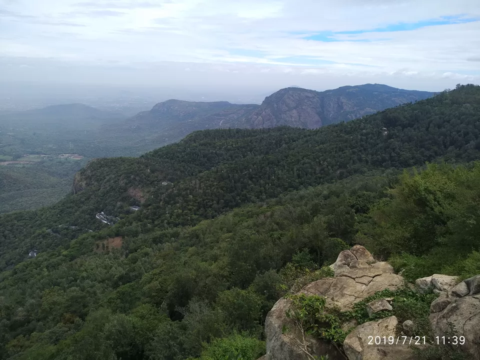 Photo of Yercaud - A hill station that you would overlook by Kamalakar Venigalla