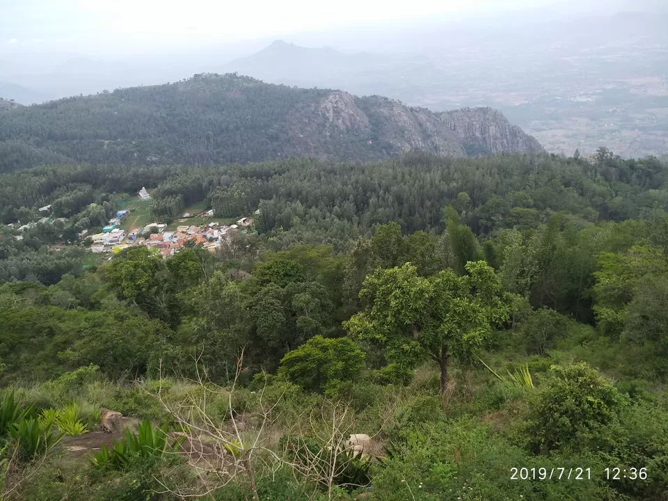 Photo of Yercaud - A hill station that you would overlook by Kamalakar Venigalla