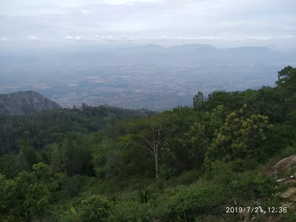 Photo of Yercaud - A hill station that you would overlook by Kamalakar Venigalla