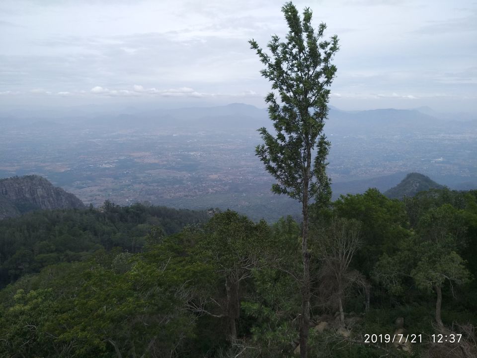 Photo of Yercaud - A hill station that you would overlook by Kamalakar Venigalla
