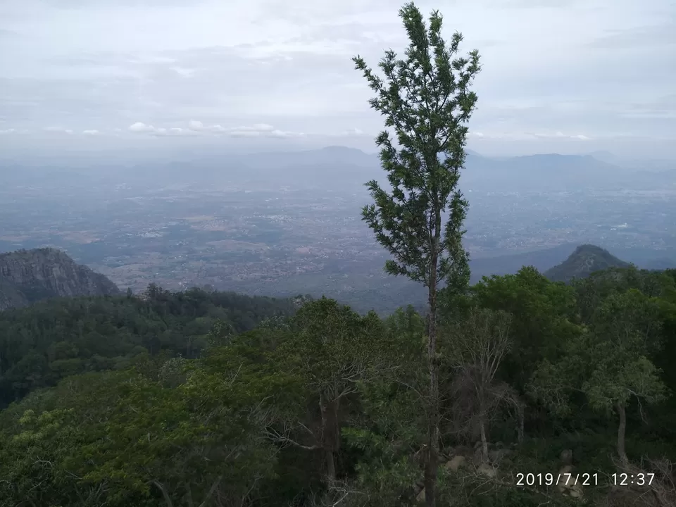 Photo of Yercaud - A hill station that you would overlook by Kamalakar Venigalla