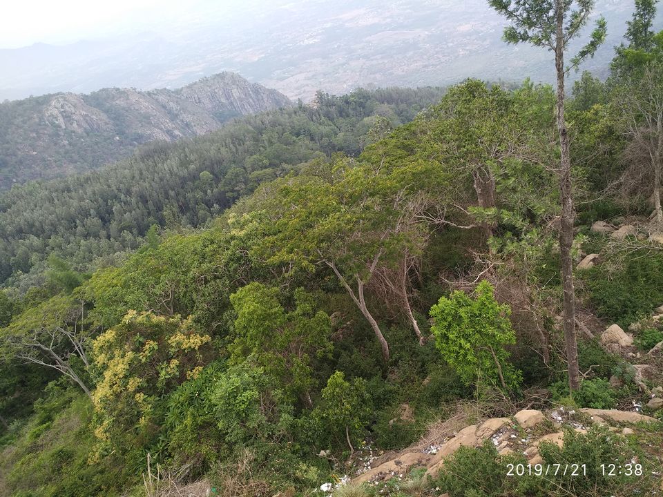 Photo of Yercaud - A hill station that you would overlook by Kamalakar Venigalla