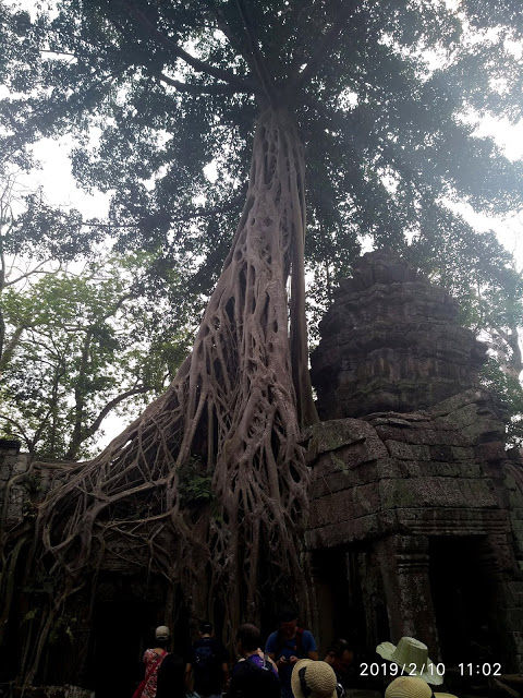 Photo of Cambodia & Vietnam - February 2019 part 5 5/52 by Kamalakar Venigalla