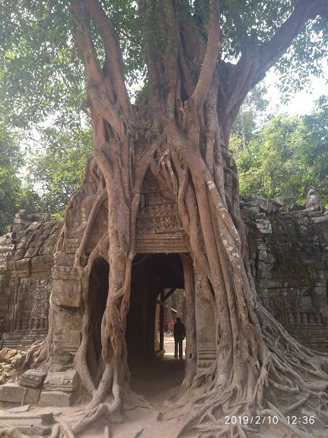 Photo of Cambodia & Vietnam - February 2019 part 5 16/52 by Kamalakar Venigalla