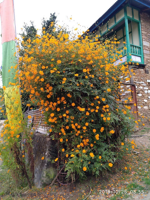Photo of the forgotten worlds - arunachal pradesh and meghalaya - day 3 - sangti valley and reaching tawang 8/29 by Kamalakar Venigalla