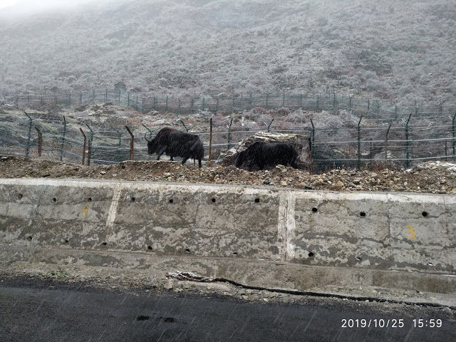 Photo of the forgotten worlds - arunachal pradesh and meghalaya - day 3 - sangti valley and reaching tawang 24/29 by Kamalakar Venigalla