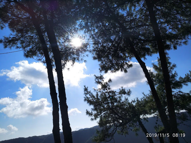 Photo of the forgotten worlds-arunachal pradesh and meghalaya-day 14, 15 back to shillong, guwahati, chennai 3/26 by Kamalakar Venigalla