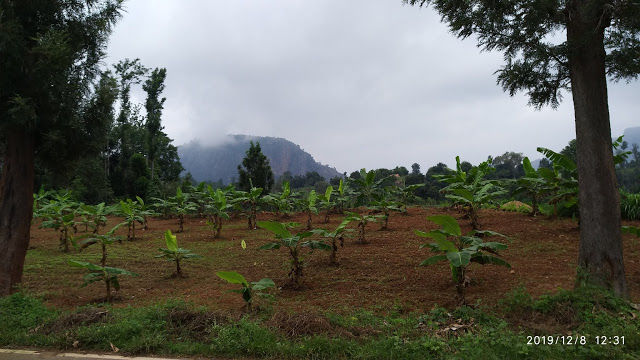 Photo of Killing hills? Not really - Kolli Hills surprised us - part 2 17/52 by Kamalakar Venigalla