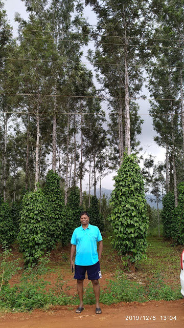 Photo of Killing hills? Not really - Kolli Hills surprised us - part 2 20/52 by Kamalakar Venigalla