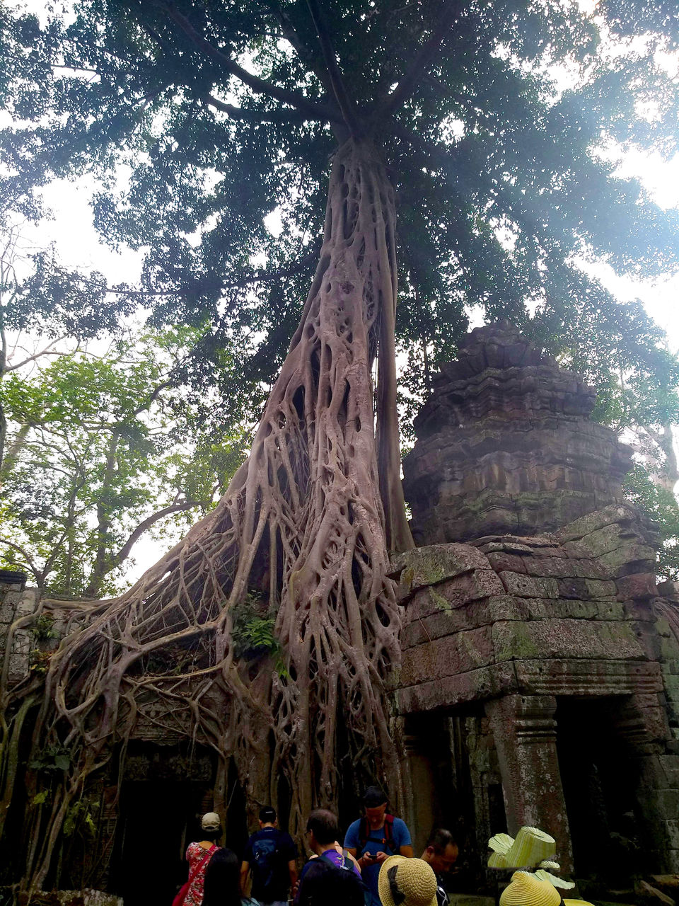 Photo of We have been taught the wrong history - Angkor Wat teaches us the Indian greatness 3/17 by Kamalakar Venigalla