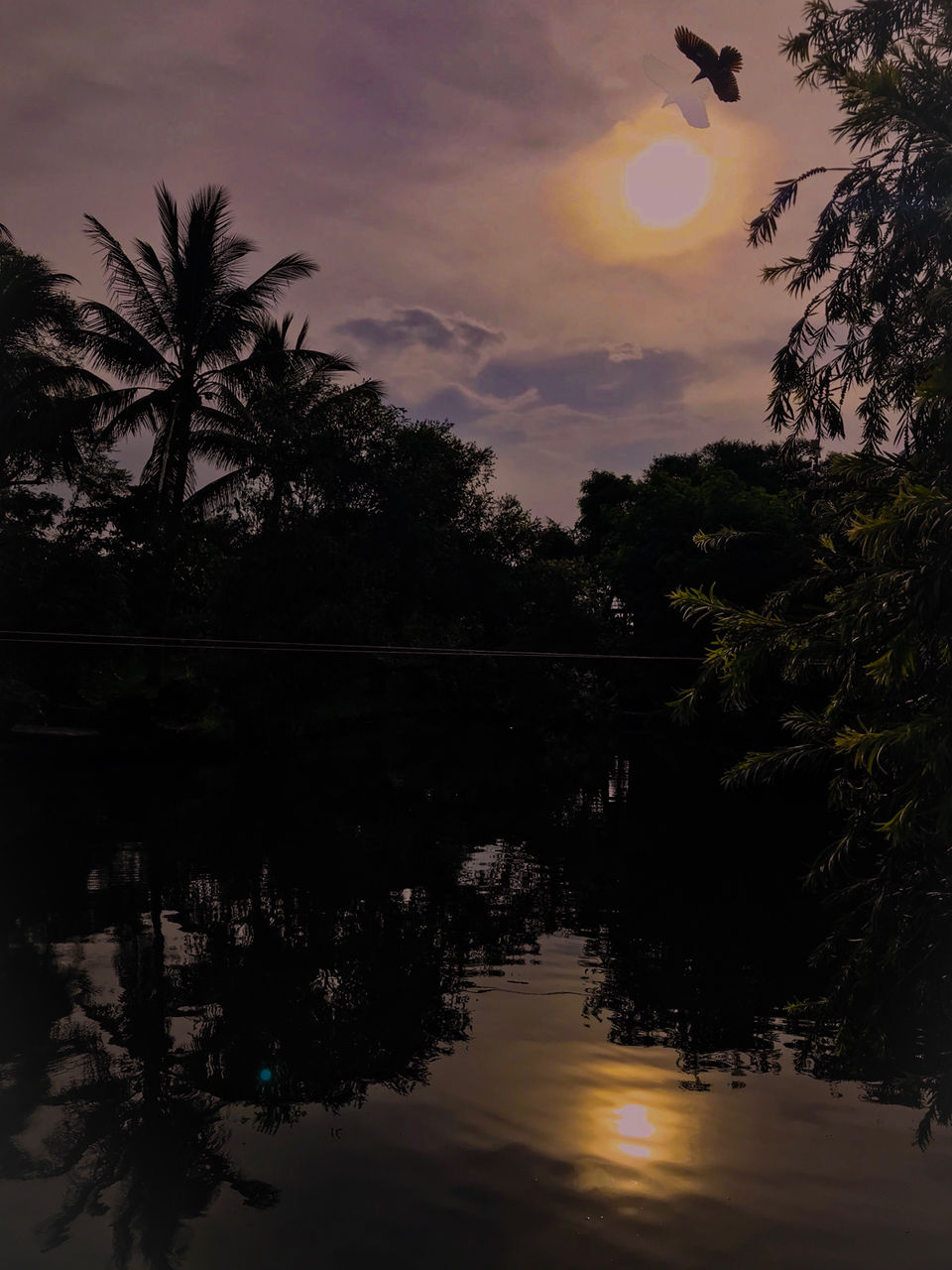 Photo of Weekend Getaway From Kolkata -Raichak by Sadaf Perwaiz