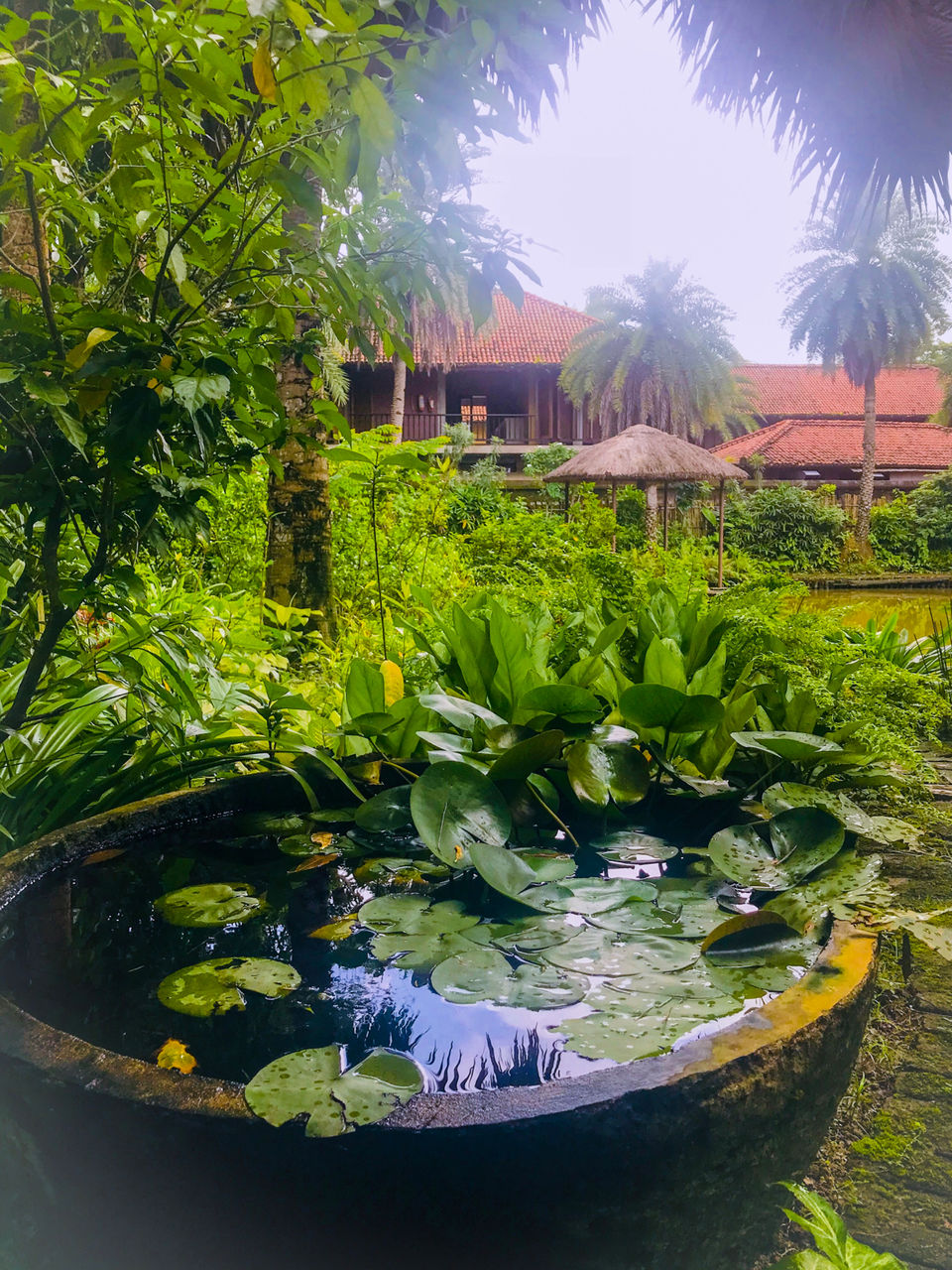 Photo of Weekend Getaway From Kolkata -Raichak by Sadaf Perwaiz
