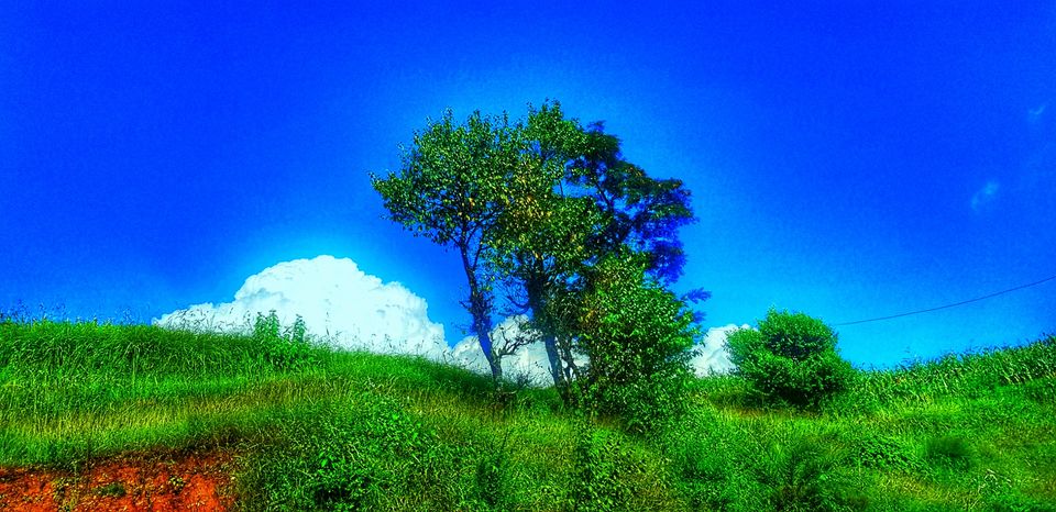 Photo of Barot, Trout, River, Hills, Chill by Sandeep Thakur